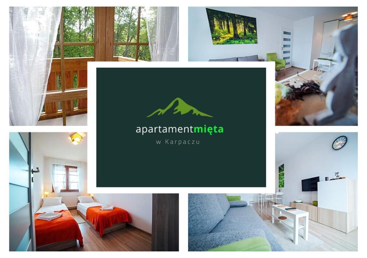 Apartament Mieta 카르파츠 외부 사진